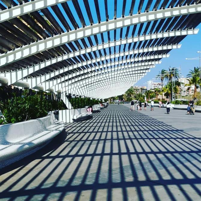 Homely Apartments Casa Carmen Torrevieja Dış mekan fotoğraf